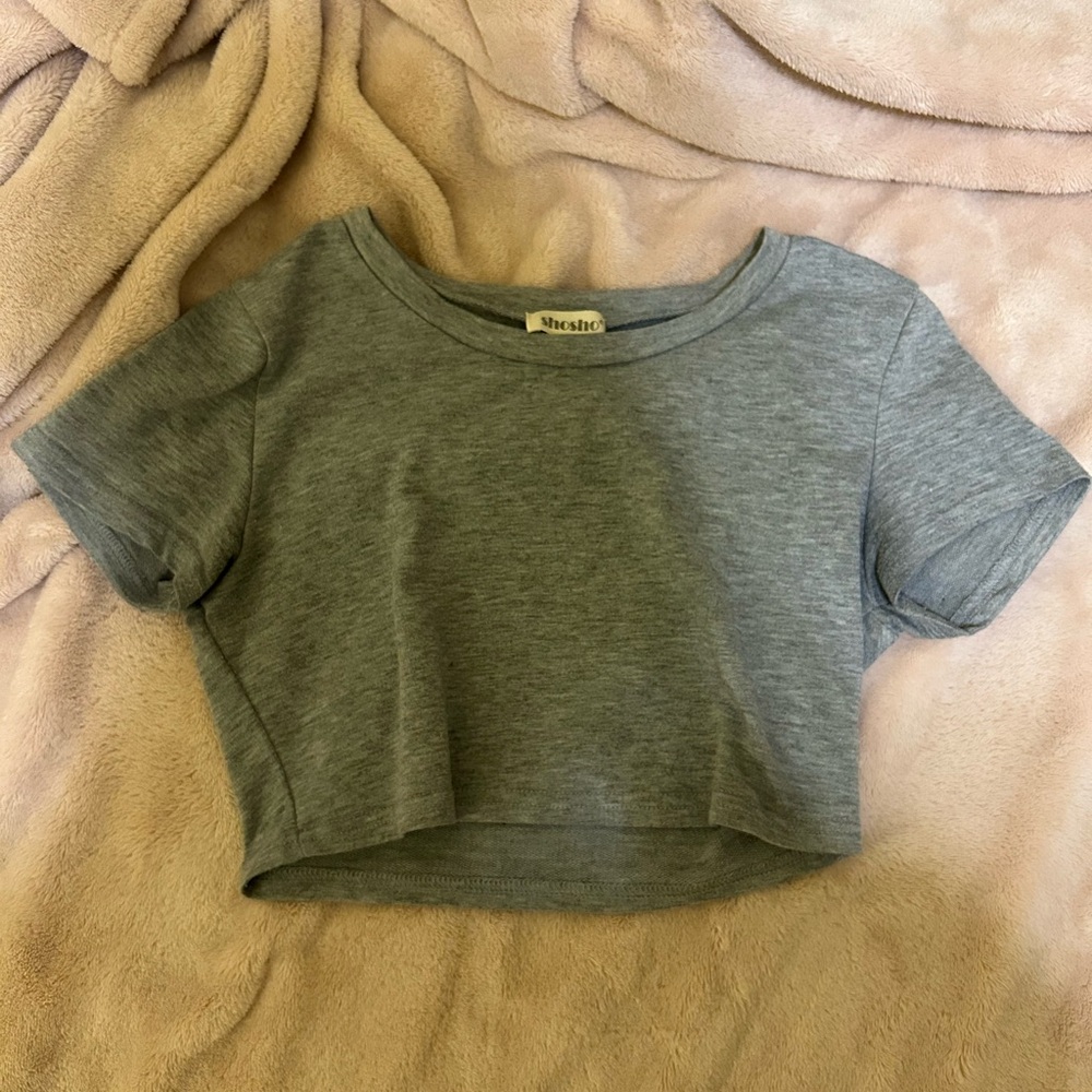 Shosho Gray Cropped T-Shirt
